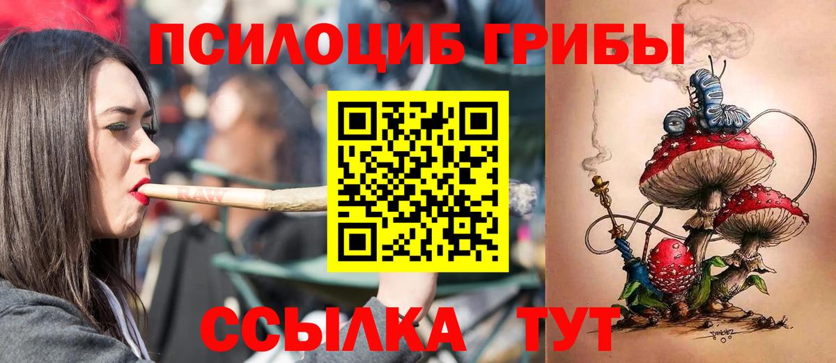 Галлюциногенные грибы Psilocybe Обь